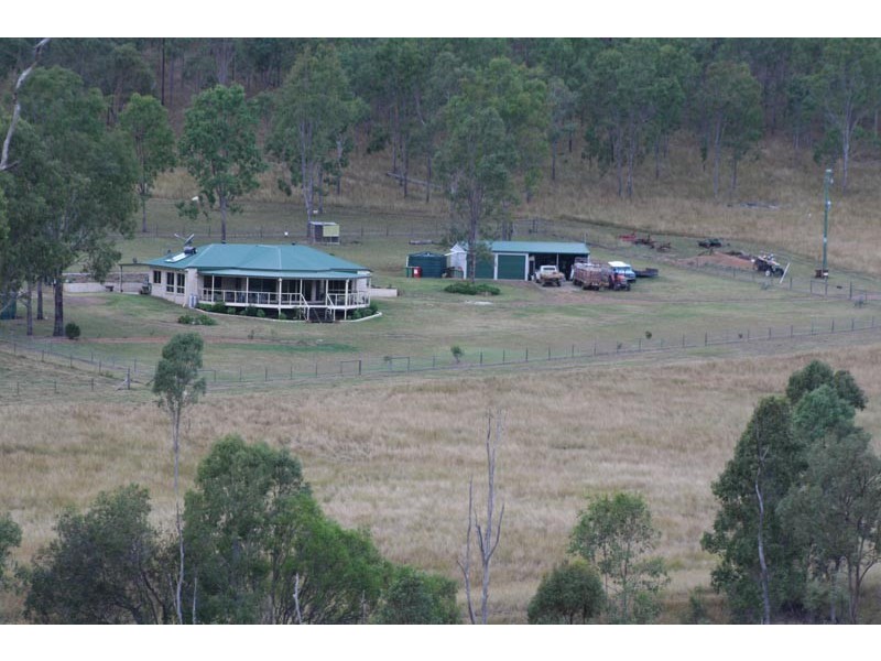 Black Snake QLD 4600