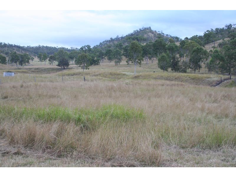 Black Snake QLD 4600