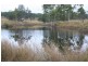 Black Snake QLD 4600