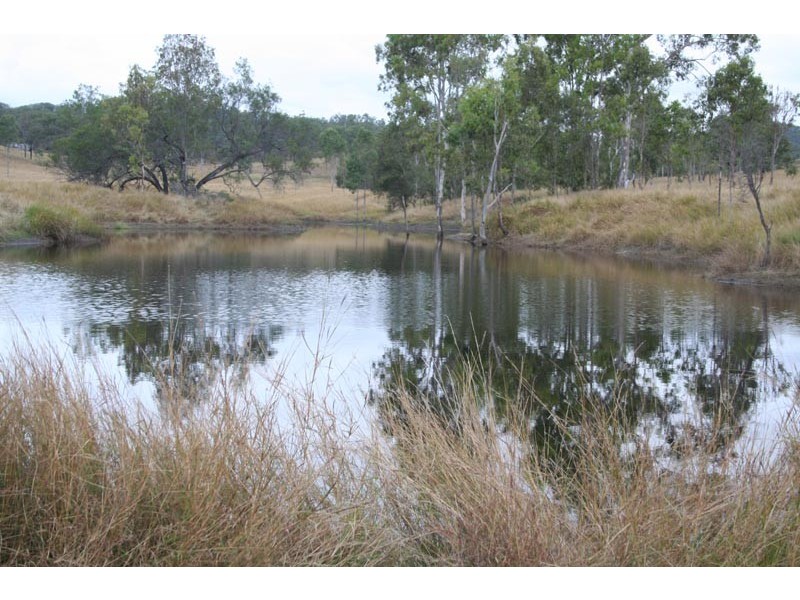 Black Snake QLD 4600