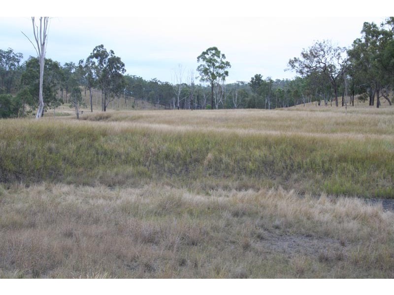 Black Snake QLD 4600