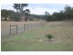 Black Snake QLD 4600