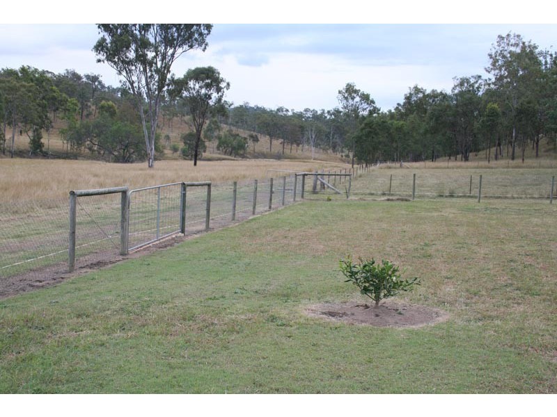 Black Snake QLD 4600