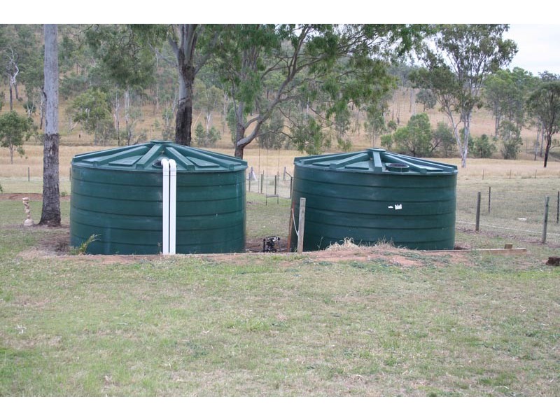Black Snake QLD 4600