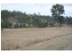 Black Snake QLD 4600