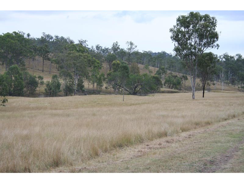Black Snake QLD 4600