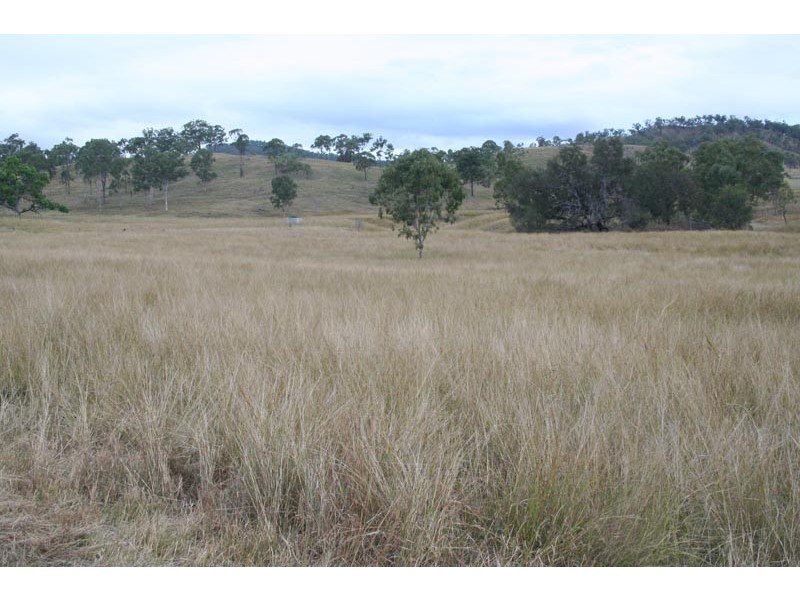 Black Snake QLD 4600