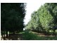 1903 Sandy Creek Road, Downsfield QLD 4570