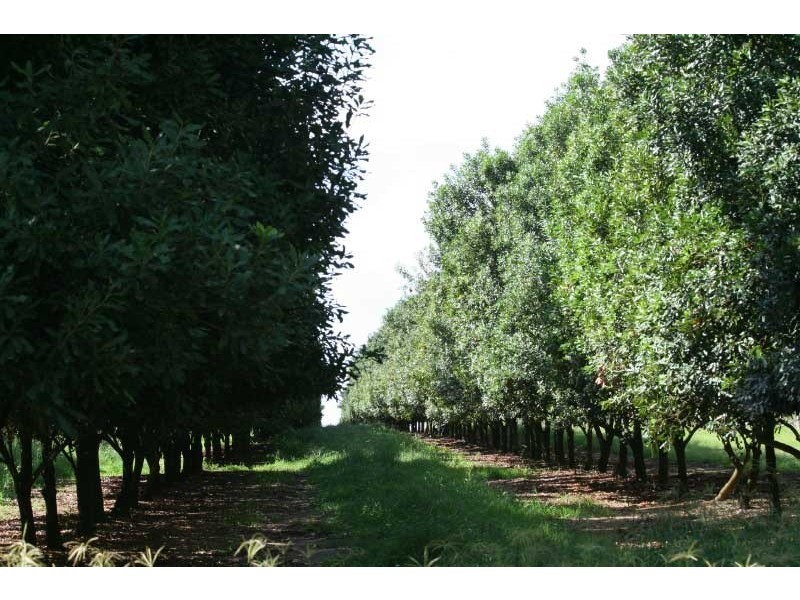 1903 Sandy Creek Road, Downsfield QLD 4570