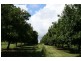1903 Sandy Creek Road, Downsfield QLD 4570