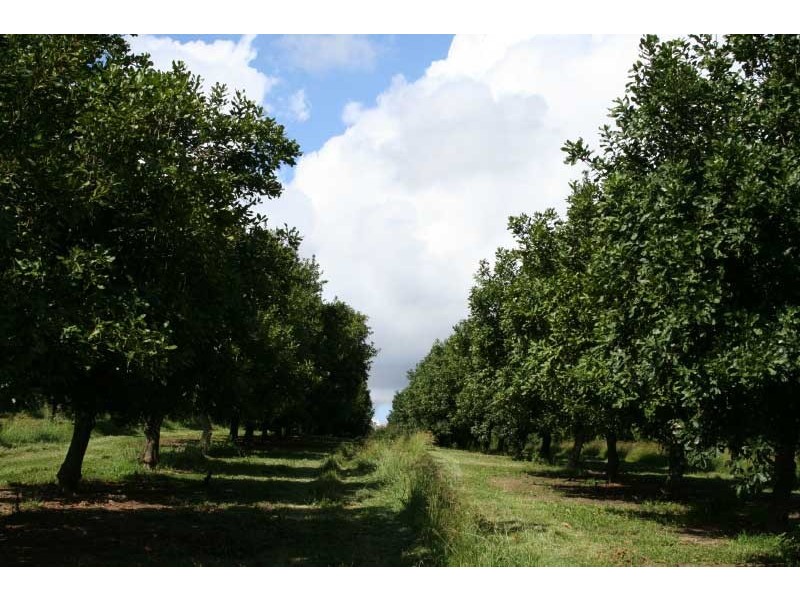1903 Sandy Creek Road, Downsfield QLD 4570