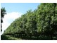 1903 Sandy Creek Road, Downsfield QLD 4570
