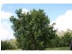 1903 Sandy Creek Road, Downsfield QLD 4570