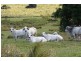 Coondoo QLD 4570