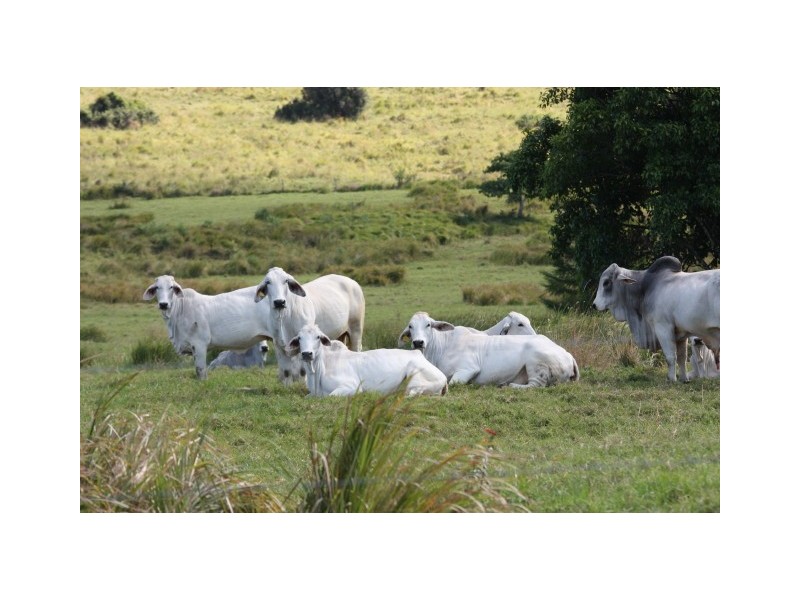 Coondoo QLD 4570