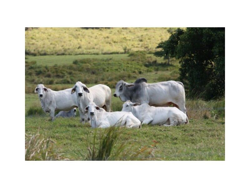 Coondoo QLD 4570