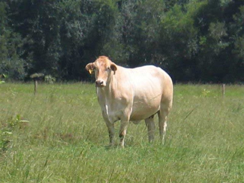 Kin Kin QLD 4571