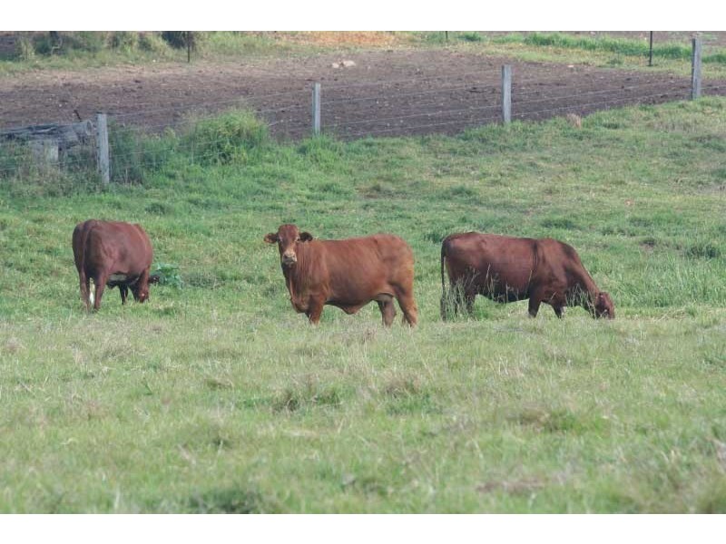 Kia Ora QLD 4570