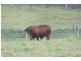 Kia Ora QLD 4570
