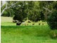 Pie Creek QLD 4570
