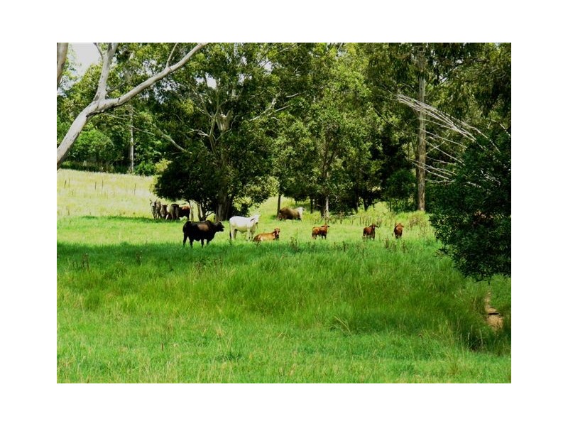Pie Creek QLD 4570