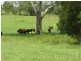 Pie Creek QLD 4570