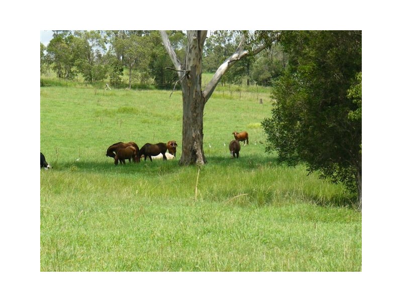 Pie Creek QLD 4570