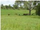 Pie Creek QLD 4570