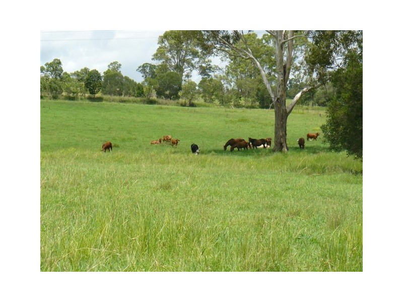 Pie Creek QLD 4570