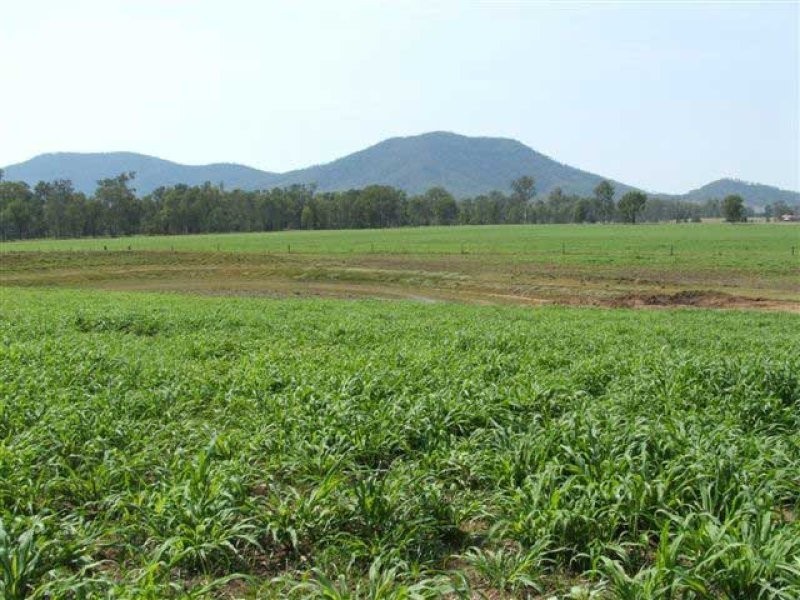 Lower Wonga QLD 4570