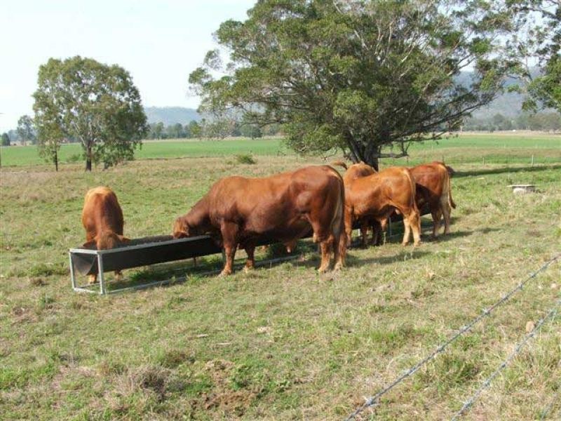 Lower Wonga QLD 4570