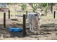 Booubyjan QLD 4601