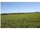 Lower Wonga QLD 4570