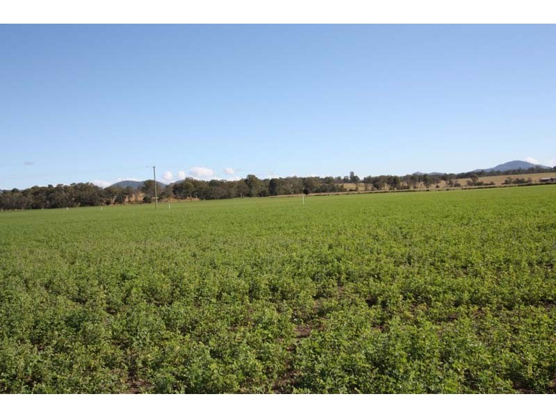 Lower Wonga QLD 4570