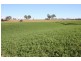 Lower Wonga QLD 4570