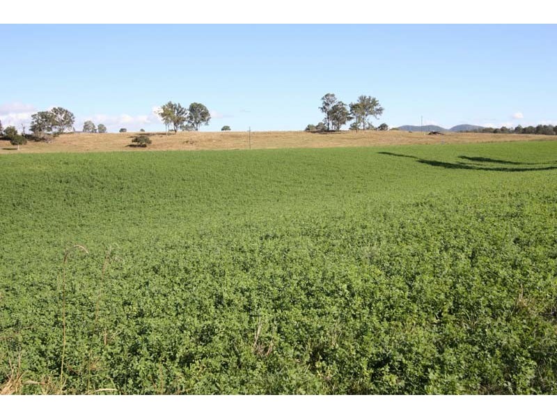 Lower Wonga QLD 4570