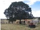 Sexton QLD 4570