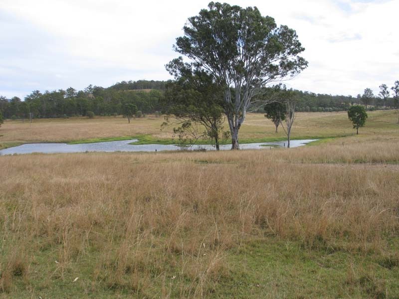 Sexton QLD 4570