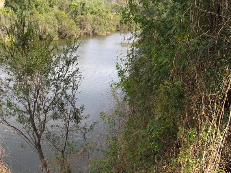 Sexton QLD 4570