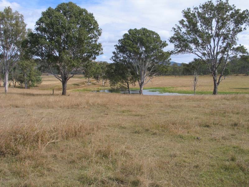 Sexton QLD 4570