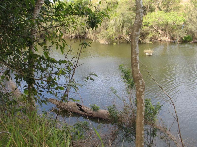Sexton QLD 4570