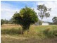 Sexton QLD 4570