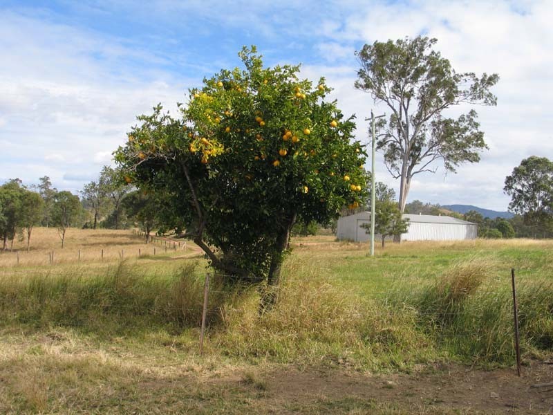 Sexton QLD 4570
