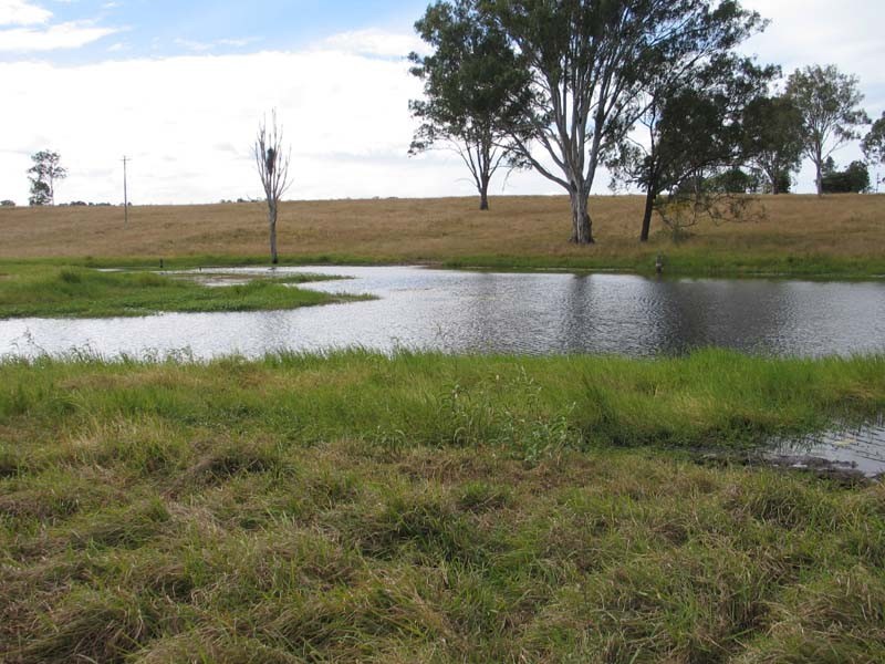 Sexton QLD 4570
