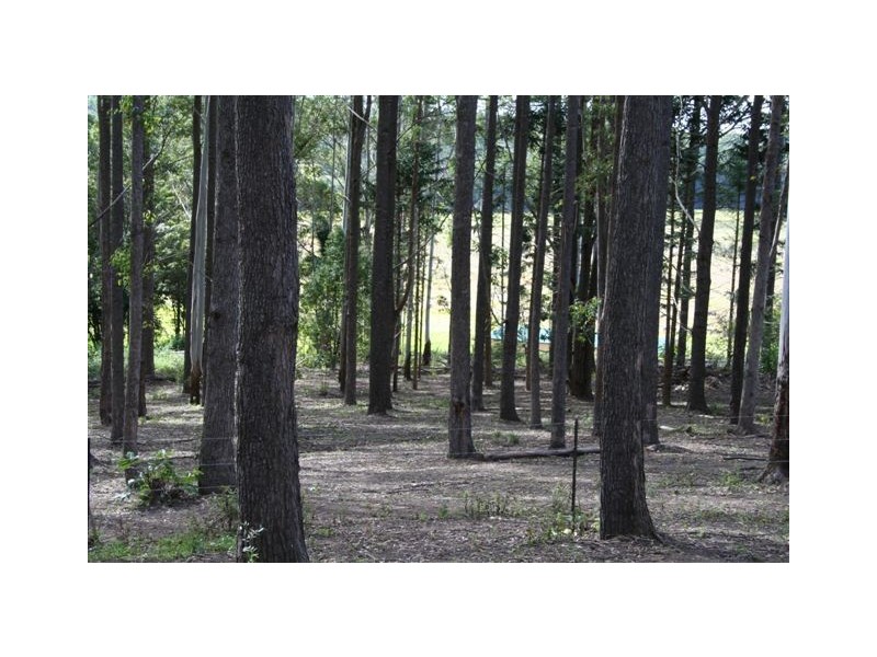 240 Yandina Cooloolabin Road, Cooloolabin QLD 4560
