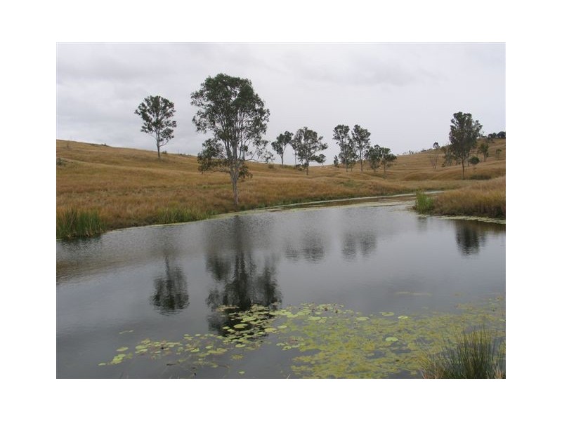 Scotchy Pocket QLD 4570