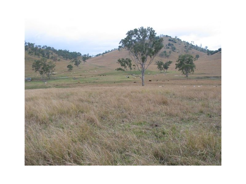 Scotchy Pocket QLD 4570