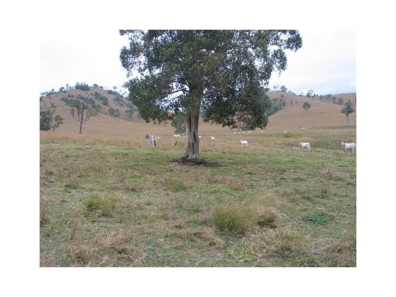 Scotchy Pocket QLD 4570