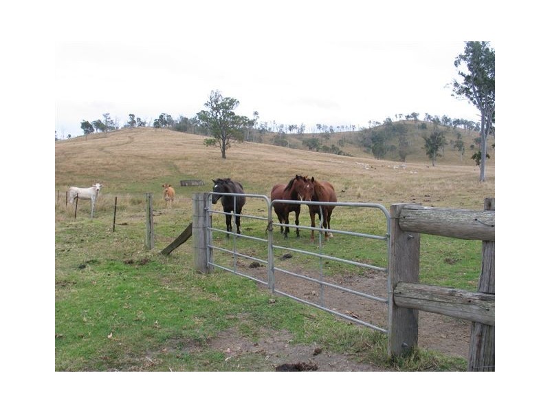 Scotchy Pocket QLD 4570