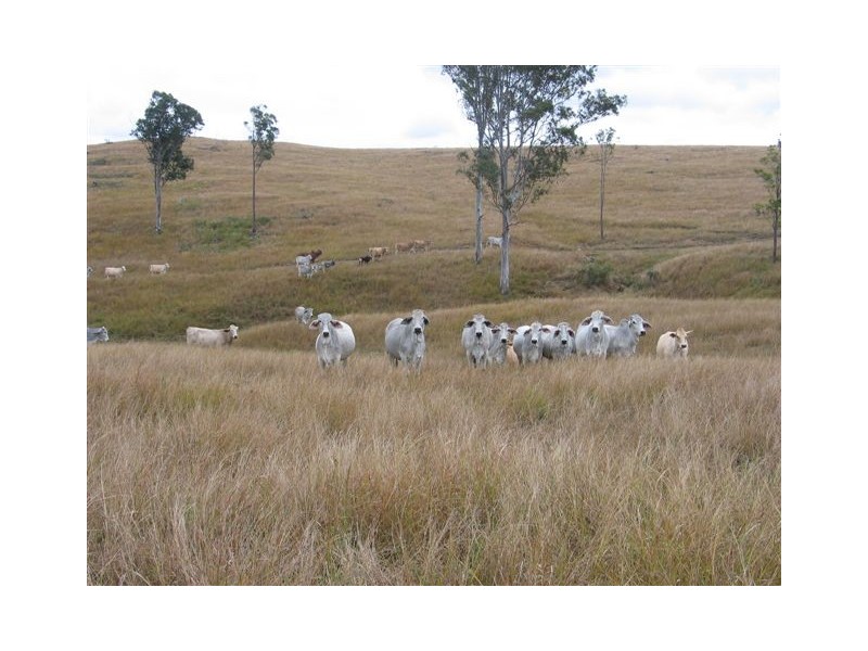 Scotchy Pocket QLD 4570